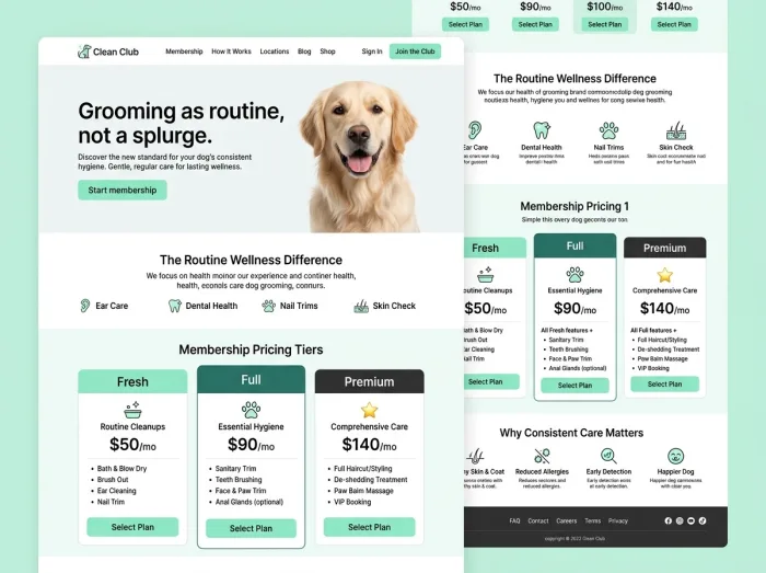 Clean Club — Vets & Grooming website design